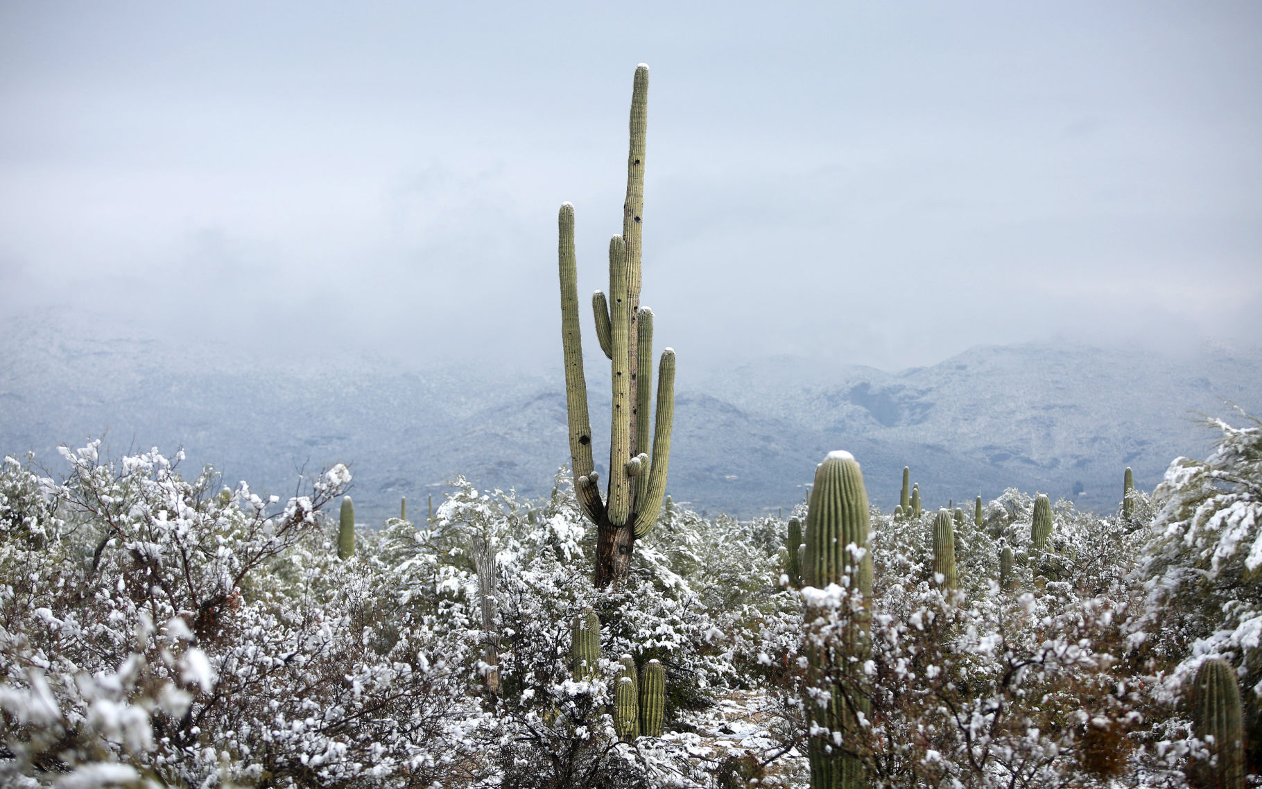 Snow in Southern Arizona